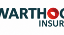 Warthog Insure Brokers